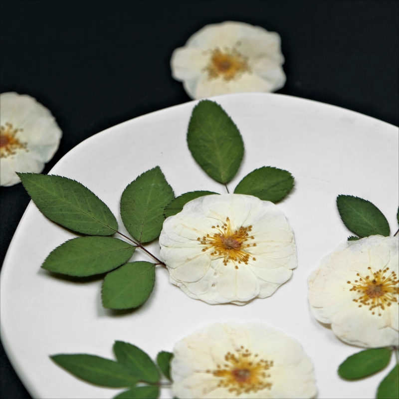 6 stks, 9 stks, Natuur Witte R - Resin Craft Ideas recensie en prijs