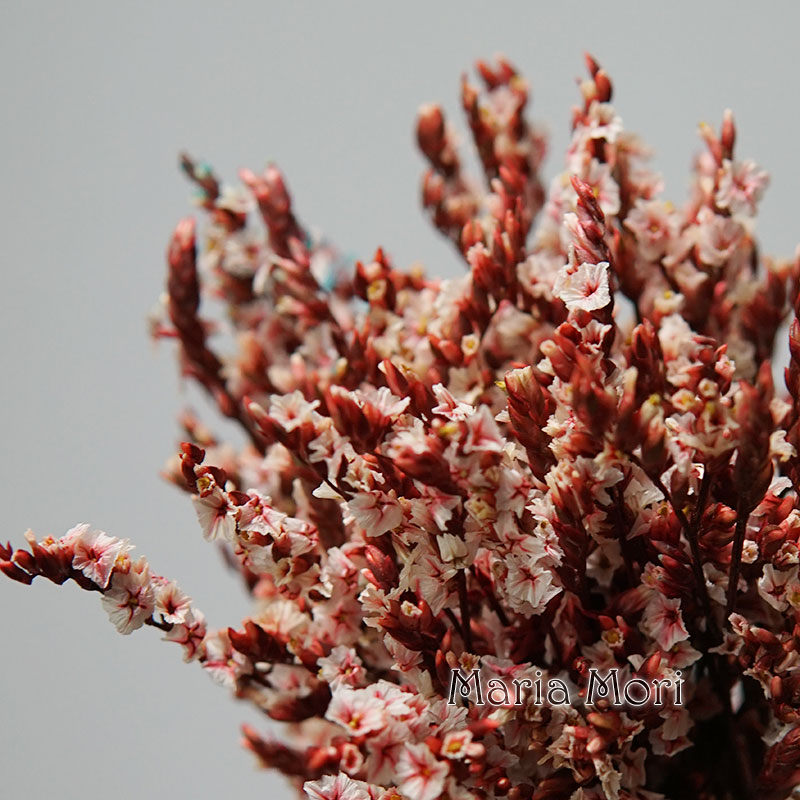5g/Kleurrijke Dired Bewaarde K - Flower Preservation Resin recensie en prijs
