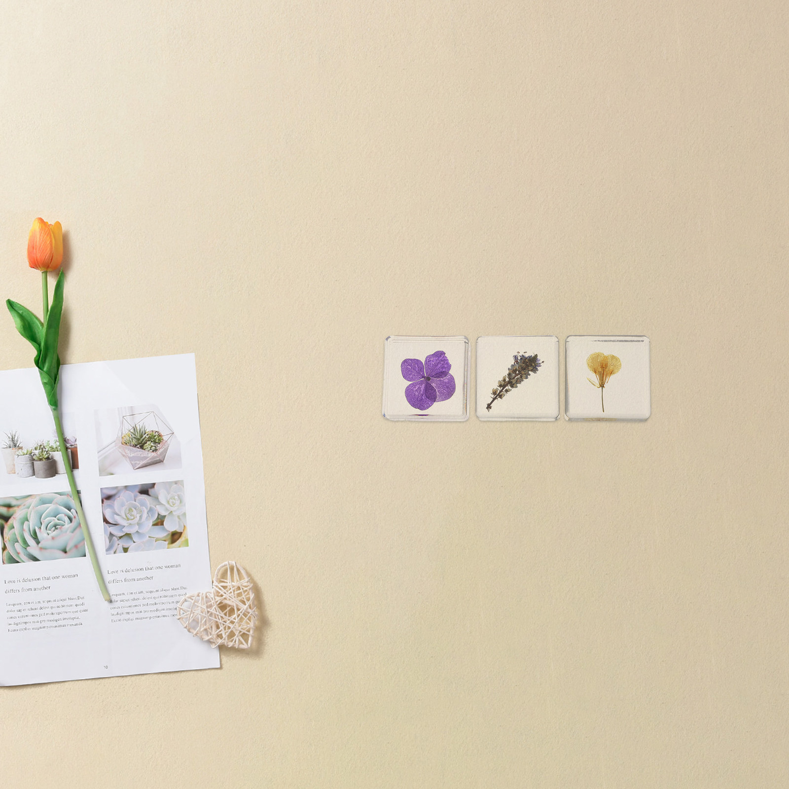 3 stuks plantenhars specimen o - Flower Preservation Resin recensie en prijs