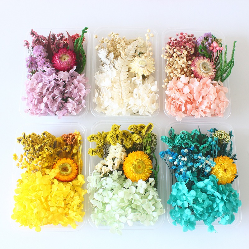 Geperste bloemen DIY-kit, seiz - Flower Preservation Resin recensie en prijs