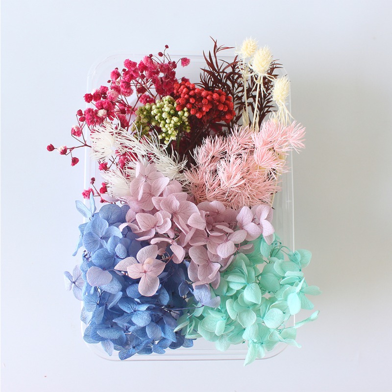 Geperste bloemen DIY-kit, seiz - Flower Preservation Resin recensie en prijs