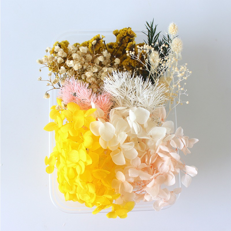 Geperste bloemen DIY-kit, seiz - Flower Preservation Resin recensie en prijs